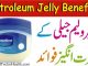 Petroleum Jelly Benefits On Face, Lip, Heels and Skin