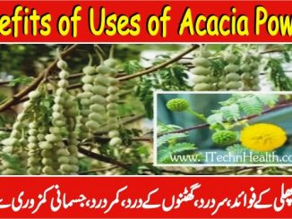 Acacia Powder Benefits For Men, Women & Acacia Powder Side Effects