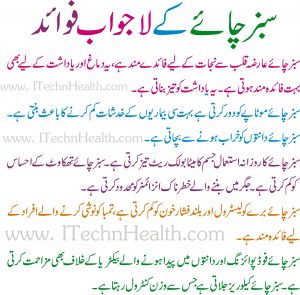 Green Tea Benefits In Urdu