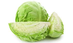 cabbage