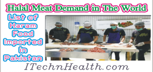 HALAL MEAT DEMAND IN THE WORLD