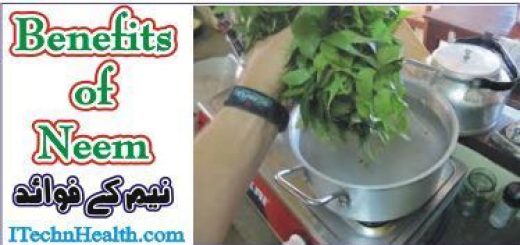 Benefits of Neem For Health
