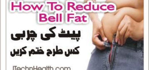 How To Lose Belly Fat