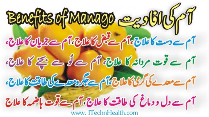 Aam Ke Faide in Urdu
