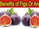 10 Health Benefits of Figs or Anjeer
