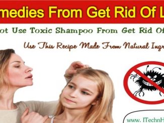 Best Home Remedy From Get Rid Of Lice