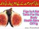 Health Benefits Of Figs Tonic