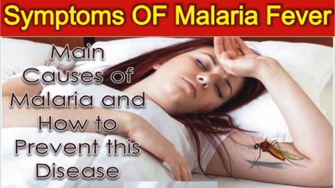 Symptoms Of Malaria and How to Prevent this Disease