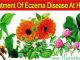 Treatment Of Eczema Disease At Home With Herbs
