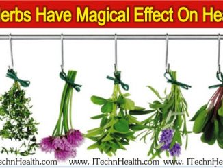 5 Herbs Have Magical Effective On Health, You Do Not Know