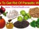 How To Get Rid Of All Types Of Parasitic Worms In Humans Body