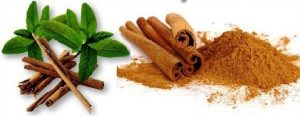 Advantage and Disadvantage of Cinnamon