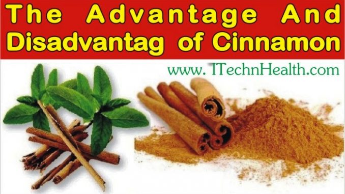 The Advantage and Disadvantage of Cinnamon
