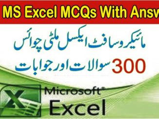 ms excel mcqs pdf free download