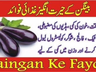 Baingan Ke Fayde Aur Nuqsanat In Urdu- Benefits of Brinjal