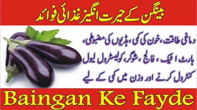 Baingan Ke Fayde Aur Nuqsanat In Urdu- Benefits of Brinjal