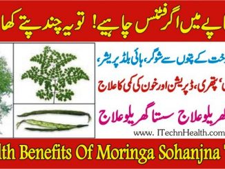 Health Benefits of Moringa Or Drumstick Tree