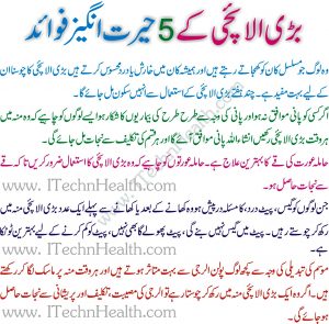 Elaichi Benefits And Side Effects In Urdu