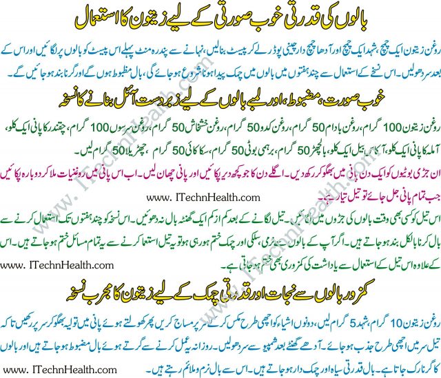 Zaitoon Khane Aur zaitoon Ka Tail Peene Ke Fayde In Urdu - iTechnHealth.com