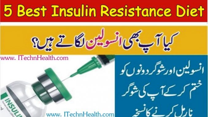 Best Insulin Resistance Diet
