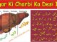 Jigar Ki Charbi Ka Ilaj , Fatty Liver Treatment