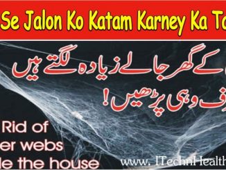 Get Rid Of Spider Webs Inside the House, Gar Se Jalon Ko Katam Karney Ka Tariqa