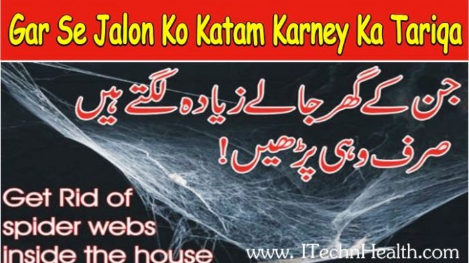Get Rid Of Spider Webs Inside the House, Gar Se Jalon Ko Katam Karney Ka Tariqa