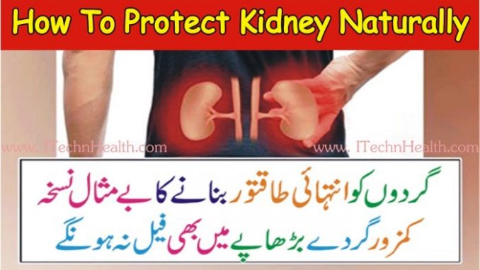 How to Protect Kidney Naturally, Prevent Kidney Failure
