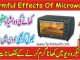 Harmful Effects Of Microwaves, Prohibited Microwave Oven Meals