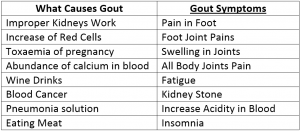 What is Gout Symptoms