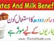 Benefits Of Dates With Milk For Skin, Date And Milk Benefits