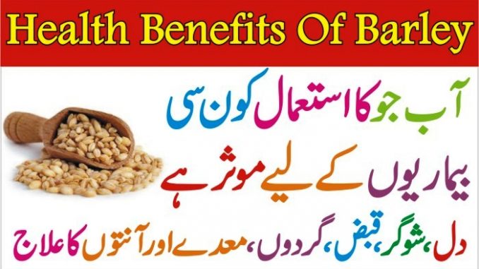 10 Health Benefits of Barley, Jou Ka Dalia Ky Fideaye
