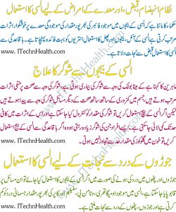 Alsi Seeds Benefits In Urdu
