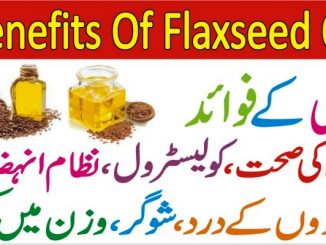 Health Benefits Of Flax Seeds In Urdu, Alsi Seeds Benefits