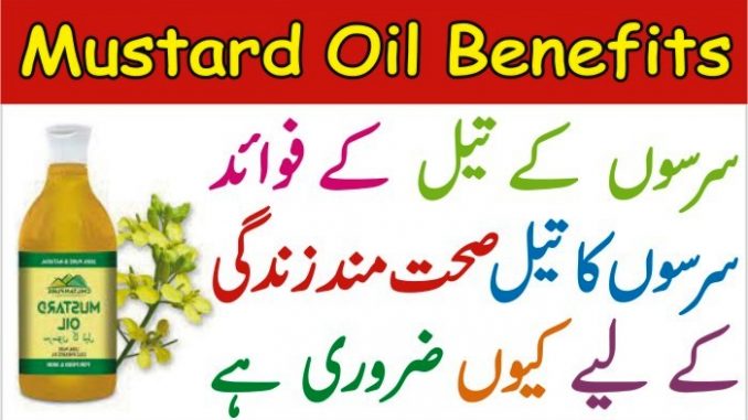 Mustard Oil Benefits For Skin, Hair, Teeth and Body Massage