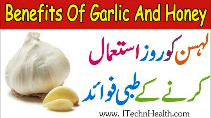 Benefits Of Garlic And Honey, Lahsun Ke Fayde, Garlic And Cholesterol