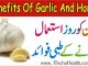Benefits Of Garlic And Honey, Lahsun Ke Fayde, Garlic And Cholesterol