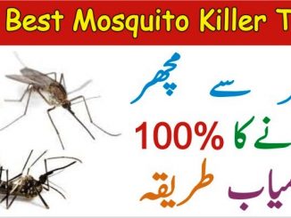 Machar Bhagane Ka Tarika, 03 Best Mosquito Killer Tips