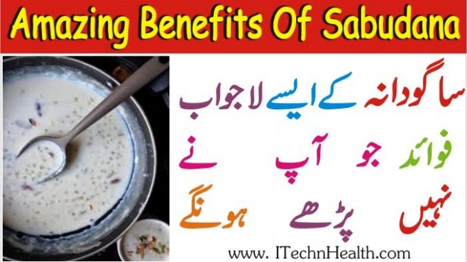 Sabudana Benefits In Urdu Sabudana Ke Faide In Hindi