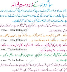 Sabudana Ke Fayde In Urdu