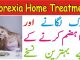 Anorexia Home Treatment, Bhook Lagne Ka Gharelu Nuska