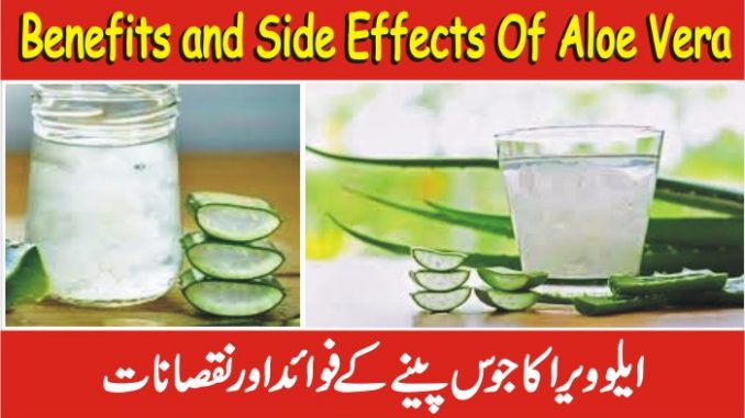 Benefits and Side Effects Of Drinking Aloe Vera Juice