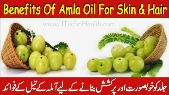 benefits of amla oil for hair & skin