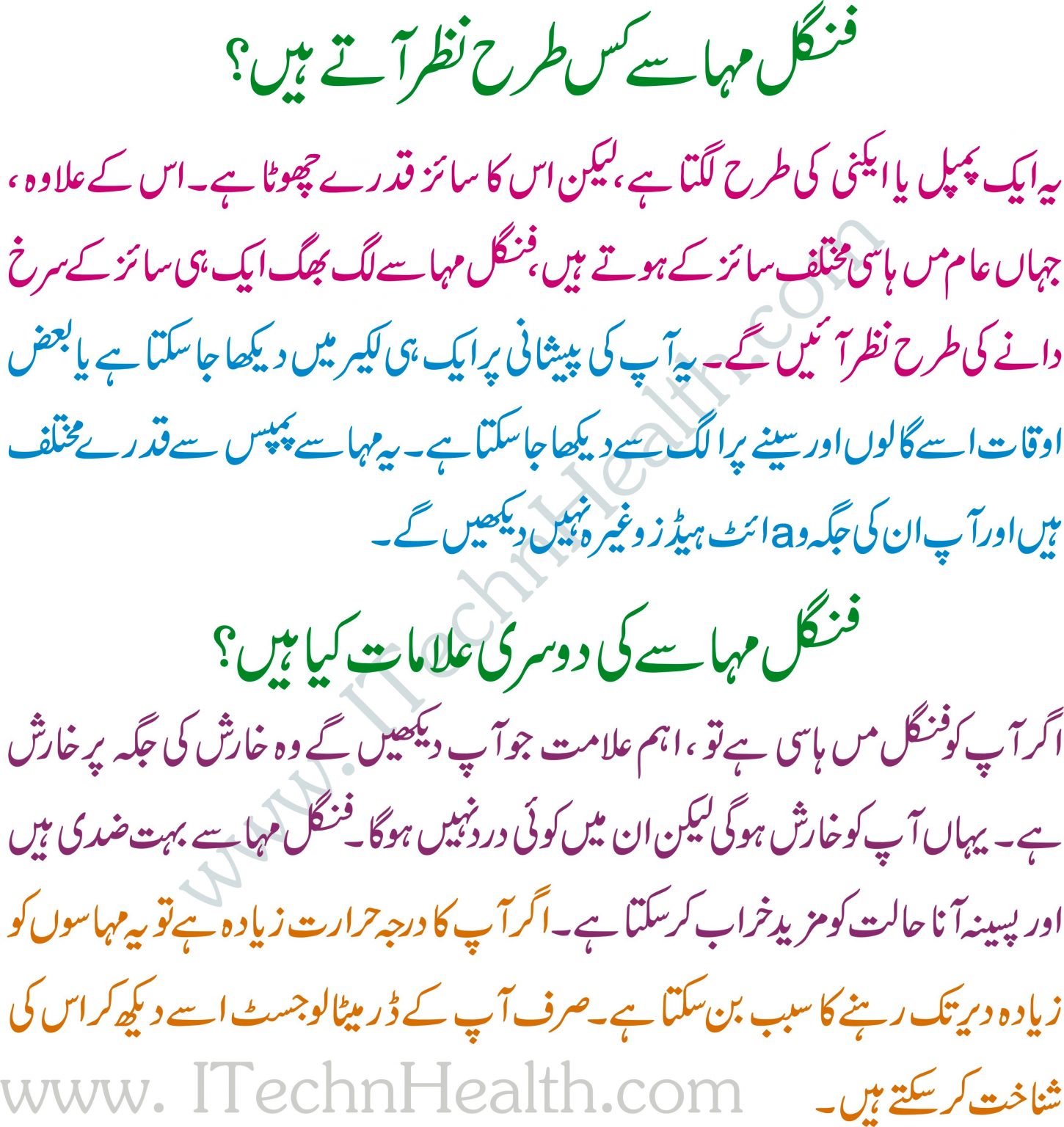 How To Treat Fungal Acne On Face, Fungus Ka Desi Ilaj In Urdu