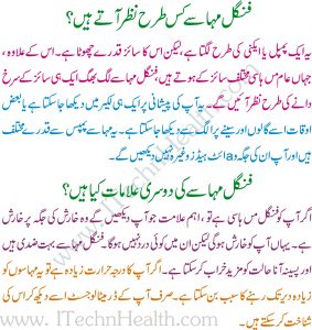 Fungus Ka Ilaj In Urdu