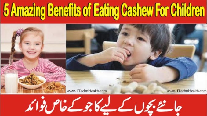 5 Amazing Benefits Of Eating Cashew Nut For Children