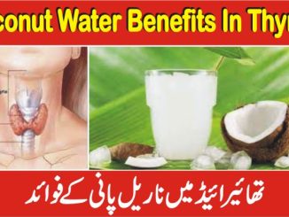 Which Oil Is Good For Thyroid Patients, Is Coconut Water Good For Thyroid Patients