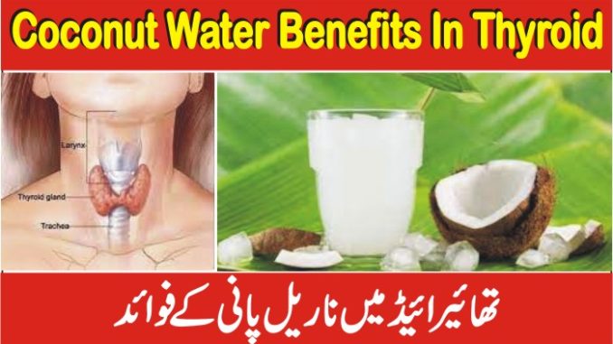 Which Oil Is Good For Thyroid Patients, Is Coconut Water Good For Thyroid Patients