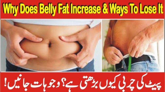 Why Does Belly Fat Increase, Causes B
