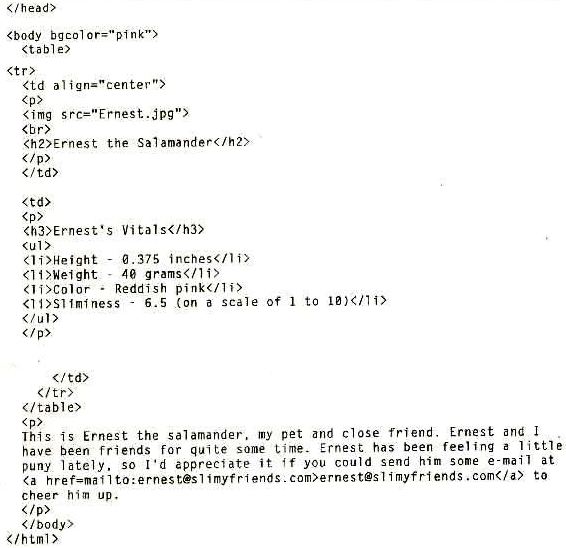 HTML Complete Training In Urdu HTML XML PDF Book Free Download html-complete-training-in-urdu-html-xml-pdf-book-free-download
